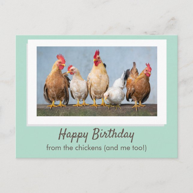 Postal Feliz cumpleaños verde lindo de los pollos (Anverso)
