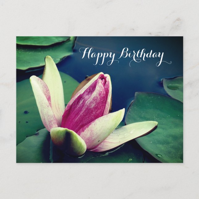 Postal Feliz cumpleaños Water Lilly Poscard (Anverso)