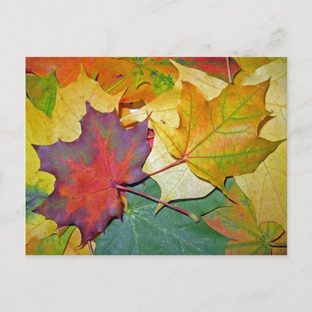 Postal Feliz de estar juntos (Anverso)