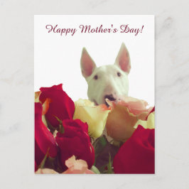 Postal ¡Feliz Día de la Madre! Bull terrier con rosas