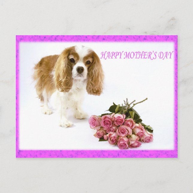 Postal Feliz Día de la Madre Cavalier Con Ramo de Rosas (Anverso)