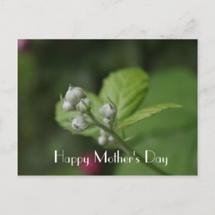 Postal Feliz Día de la Madre, flor de frambuesa silvestre