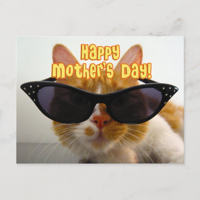 Postal Feliz Día de la Madre Gato en Guay con gafas de so (Anverso)