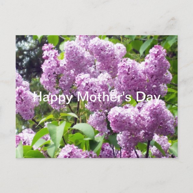 Postal Feliz Día de la Madre-Lilac Bush (Anverso)