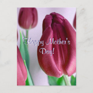 Postal Feliz Día de la Madre Rosey Tulips