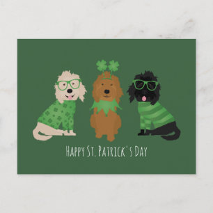 Postal Feliz día de San Patricio Goldendoodle Dogs