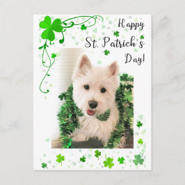 Postal Feliz Día de San Patricio, Perro Westie está listo