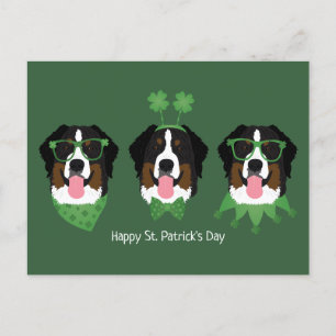 Postal Feliz Día de San Patricio Perros de Montaña de Ber
