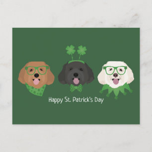 Postal Feliz Día de San Patrón Perros Maltipoo