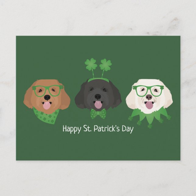 Postal Feliz Día de San Patrón Perros Maltipoo (Anverso)