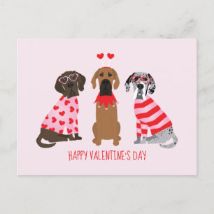 Postal Feliz Día de San Valentín grandes perros daneses