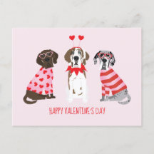 Feliz Día de San Valentín grandes perros daneses