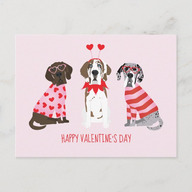 Postal Feliz Día de San Valentín grandes perros daneses (Anverso)