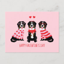Feliz Día de San Valentín Perros de Montaña Bernes