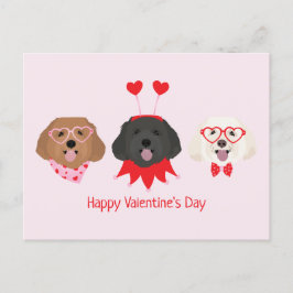 Postal Feliz Día de San Valentín Perros Maltipoo