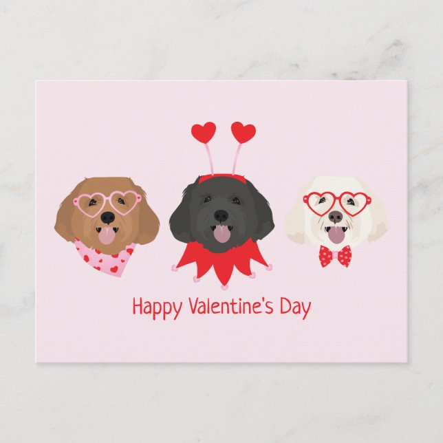 Postal Feliz Día de San Valentín Perros Maltipoo (Anverso)