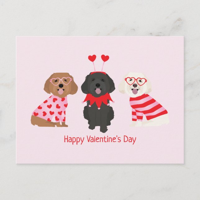 Postal Feliz Día de San Valentín Perros Maltipoo (Anverso)