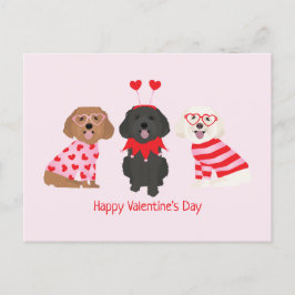 Postal Feliz Día de San Valentín Perros Maltipoo
