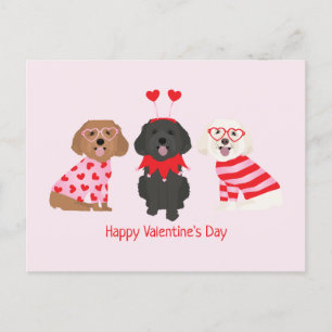 Postal Feliz Día de San Valentín Perros Maltipoo