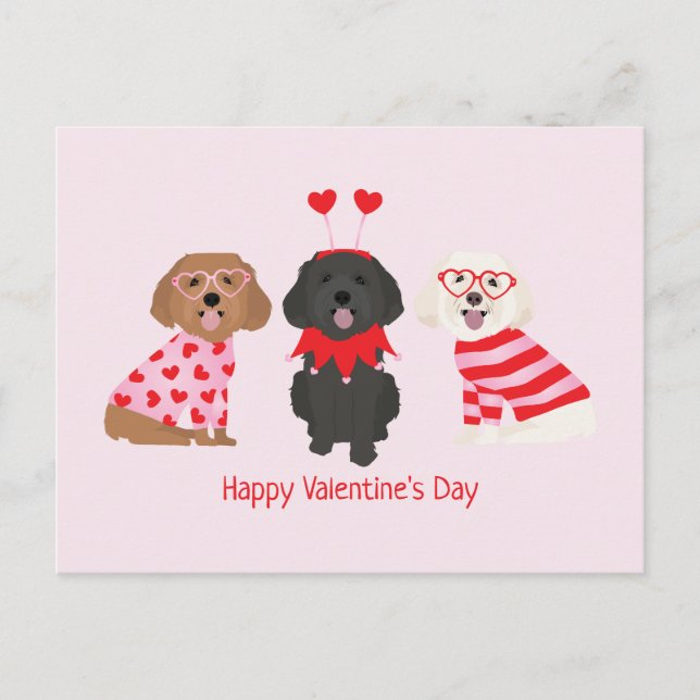 Postal Feliz Día de San Valentín Perros Maltipoo (Anverso)
