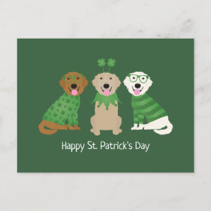 Postal Feliz Día de Santa Patrona Perros Recuperadores de