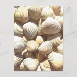 Postal Feliz Día del Padre, Seashells, foto playa de vera