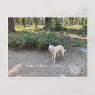 Postal ¡Feliz Día Nacional del Perro!