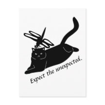 Feliz Dragonfly, un gato enojado espera lo inesper