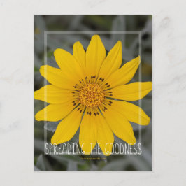 Postal Feliz flor amarilla - Te deseo alegría