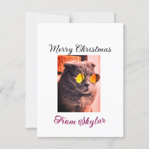 Postal Feliz gato de Navidad perro mascota foto de amor a