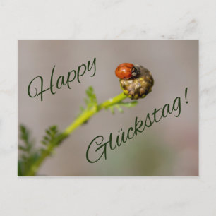Postal ¡Feliz Glückstag - mit Marienkäfer!