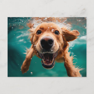 Postal Feliz Golden Retriever Nadando bajo el agua