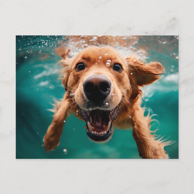 Postal Feliz Golden Retriever Nadando bajo el agua (Anverso)