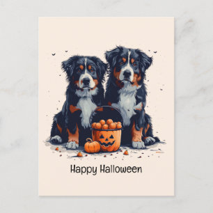 Postal Feliz Halloween Bernese Mountain Dogkin