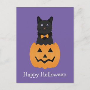 Postal Feliz Halloween Black Cat Pumpkin