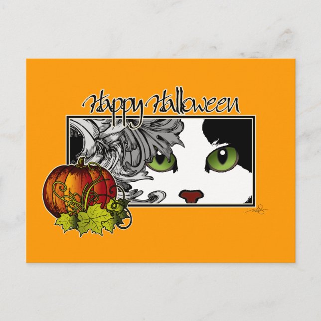 Postal Feliz Halloween Black 'n White Cat (Anverso)
