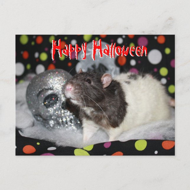 Postal Feliz Halloween - Rat Postcar (Anverso)