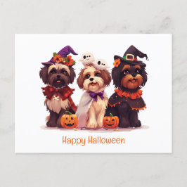 Postal Feliz Halloween Shih Tzu Dogs