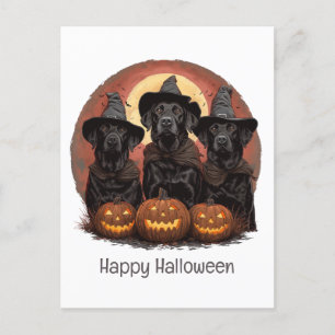 Postal Felíz Labrador de Halloween perro Gorras de brujas