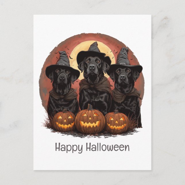 Postal Felíz Labrador de Halloween perro Gorras de brujas (Anverso)