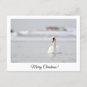 Postal ¡Feliz Navidad!