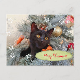 Postal Feliz Navidad a los gatos negros