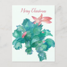 Feliz Navidad Cactus Flowers Plant Holiday