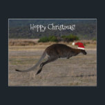 Postal Feliz Navidad Canguro Gorro Rojo de Santa Hoppy<br><div class="desc">¿Quién no ama a este icónico animal australiano? Haz que la Navidad de todos tus familiares y amigos sea mucho más feliz con esta tarjeta de felicitación única con una impresionante foto de un canguro saltando en el aire. ¡Para la ocasión, está vestido con un sombrero rojo de Santa! Las...</div>