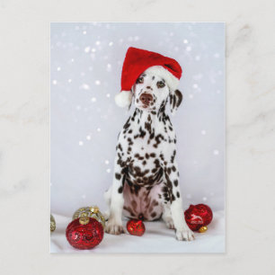 Postal Feliz Navidad dálmata