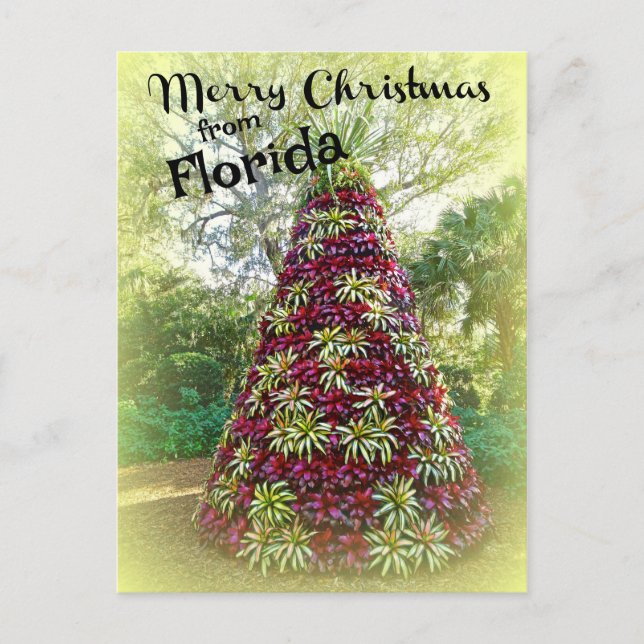 Postal Feliz Navidad desde Florida Bromeliad Tree (Anverso)