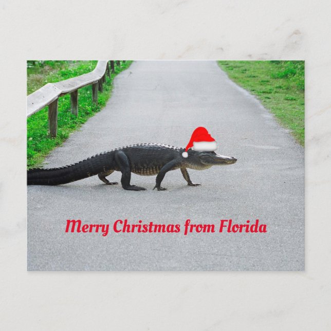 Postal Feliz Navidad desde Florida gracioso lagarto (Anverso)