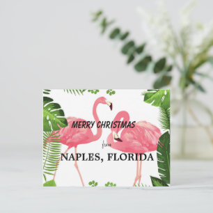 Postal Feliz Navidad desde Naples, Florida