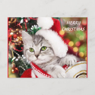 Postal Feliz Navidad Gatito
