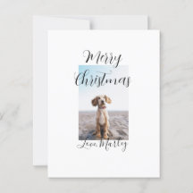 Feliz Navidad mascota perro gato foto regalos de v